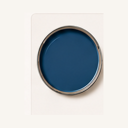 Open round paint lid filled with River Blue paint for HIM